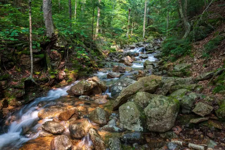 Read more about the article The Emerald Glow of Flume Gorge: A Highlight of Our New England Adventure