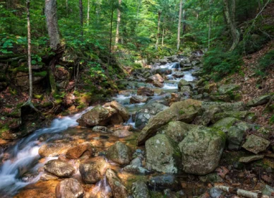 Flume Gorge, New Hampshire