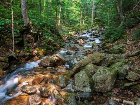 Flume Gorge, New Hampshire